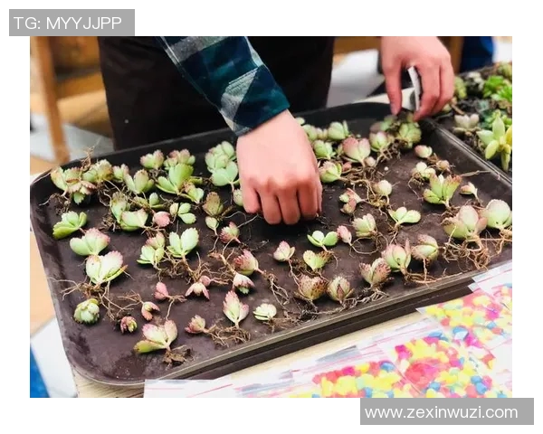 布莱克与布拉德精彩对决比分揭晓赛后分析与精彩瞬间回顾